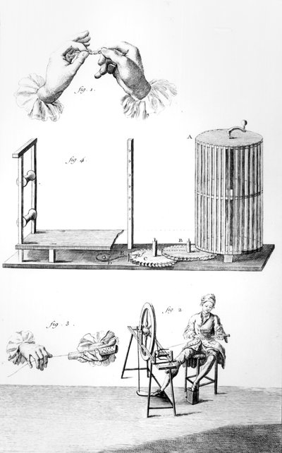 Economia rustica, cotone, tavola da 